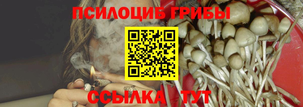 Новокуйбышевск  Псилоцибиновые грибы Cubensis  Вход с VPN 